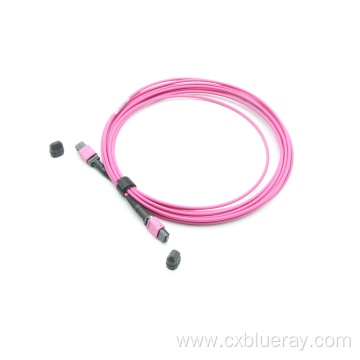 MPO MTP patch Cord